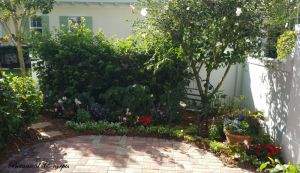 VeroBeach_Botanical_Concepts_Courtyard Gardening