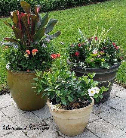 VeroBeach_BotanicalConcepts_Container_Gardening_grouping