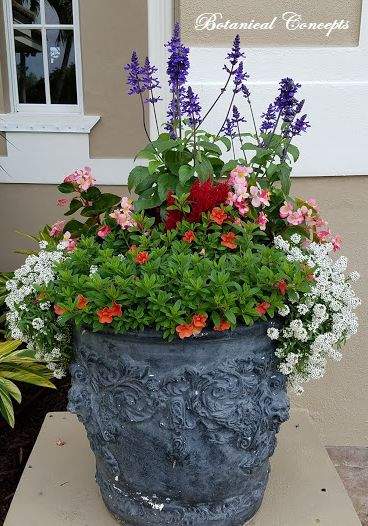VeroBeach_BotanicalConcepts_Container_Gardening_mixed_annuals