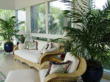 Indoor Plant Design And Care