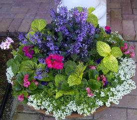  VeroBeach_BotanicalConcepts_Container_Gardening