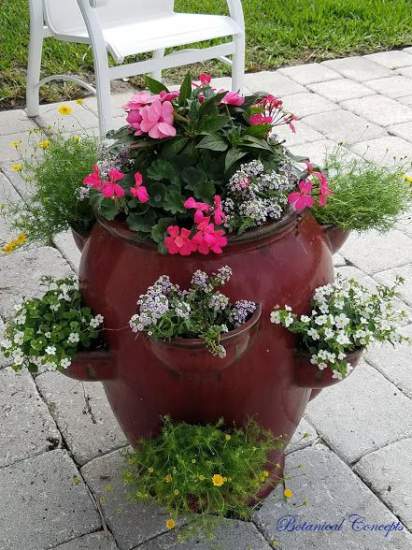 VeroBeach_BotanicalConcepts_Container_Gardening_StawberryJar_annuals