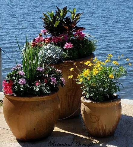 VeroBeach_BotanicalConcepts_Container_Gardening_RiverGrouping