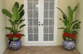 VeroBeach_Botanical_Concepts__Fine_Gardening_Services