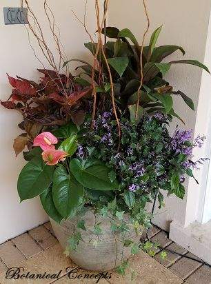 VeroBeach_BotanicalConcepts_Container_Garden_for_shade_mixed_foliage_flowers
