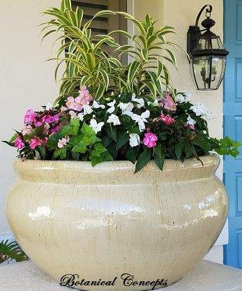 VeroBeach_BotanicalConcepts_Container_Gardening_shade_flowersparker 1