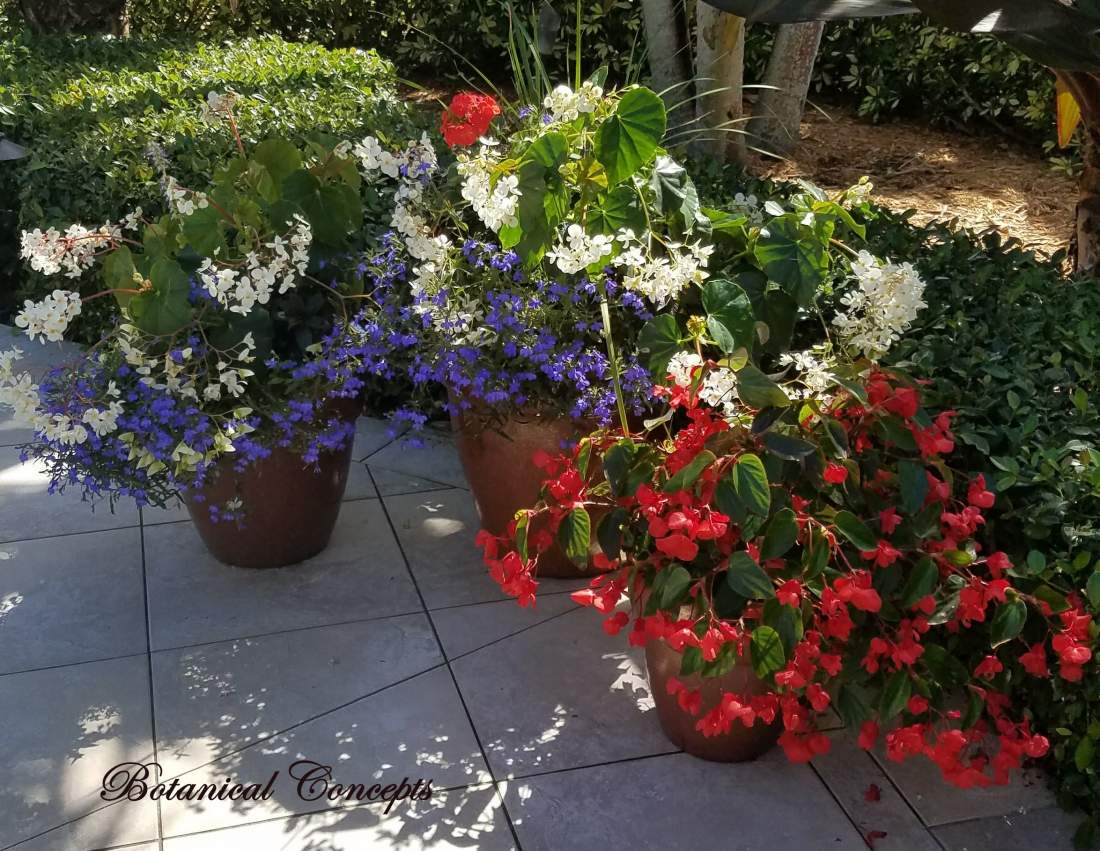 VeroBeach_Botanical_Concepts__Fine_Gardening_Services