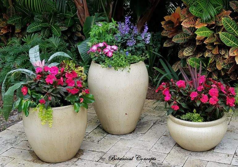 VeroBeach_Botanical_Concepts__Fine_Gardening_Services