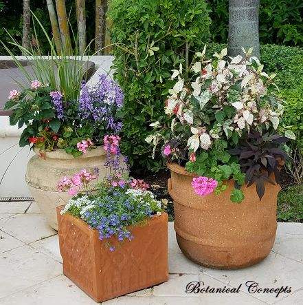 VeroBeach_BotanicalConcepts_Container_Gardening